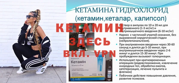 дмт Алзамай