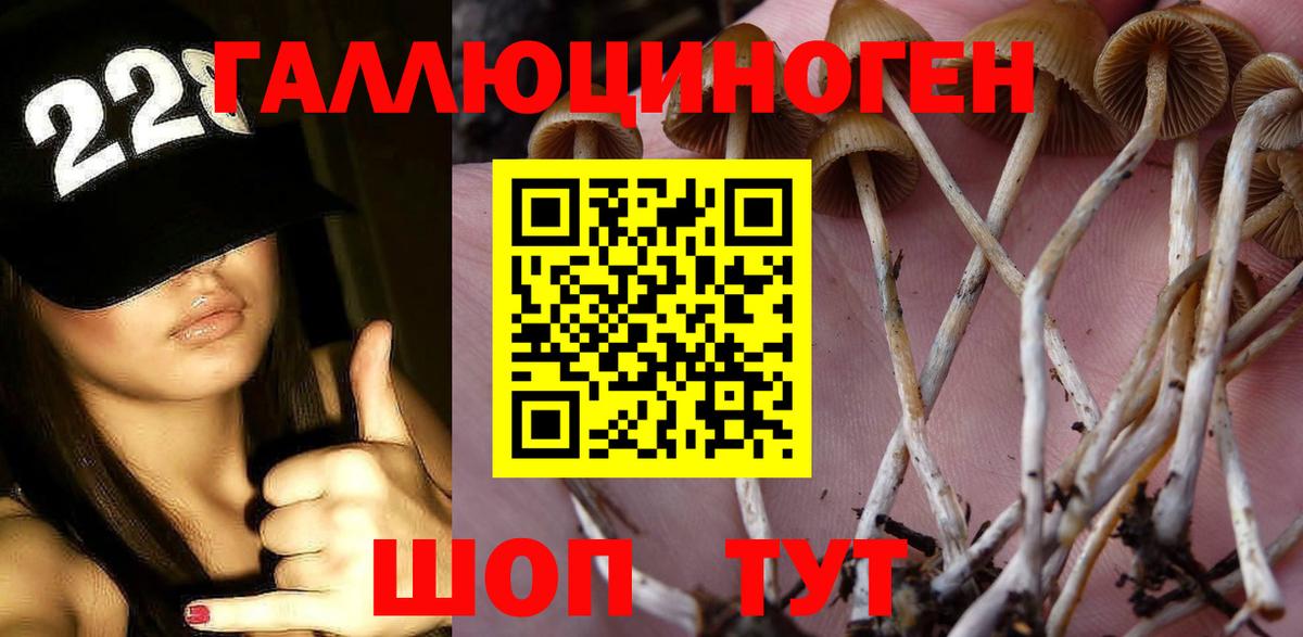Галлюциногенные грибы Magic Shrooms  Галлюциногенные грибы Cubensis  Вход с VPN  Новодвинск 